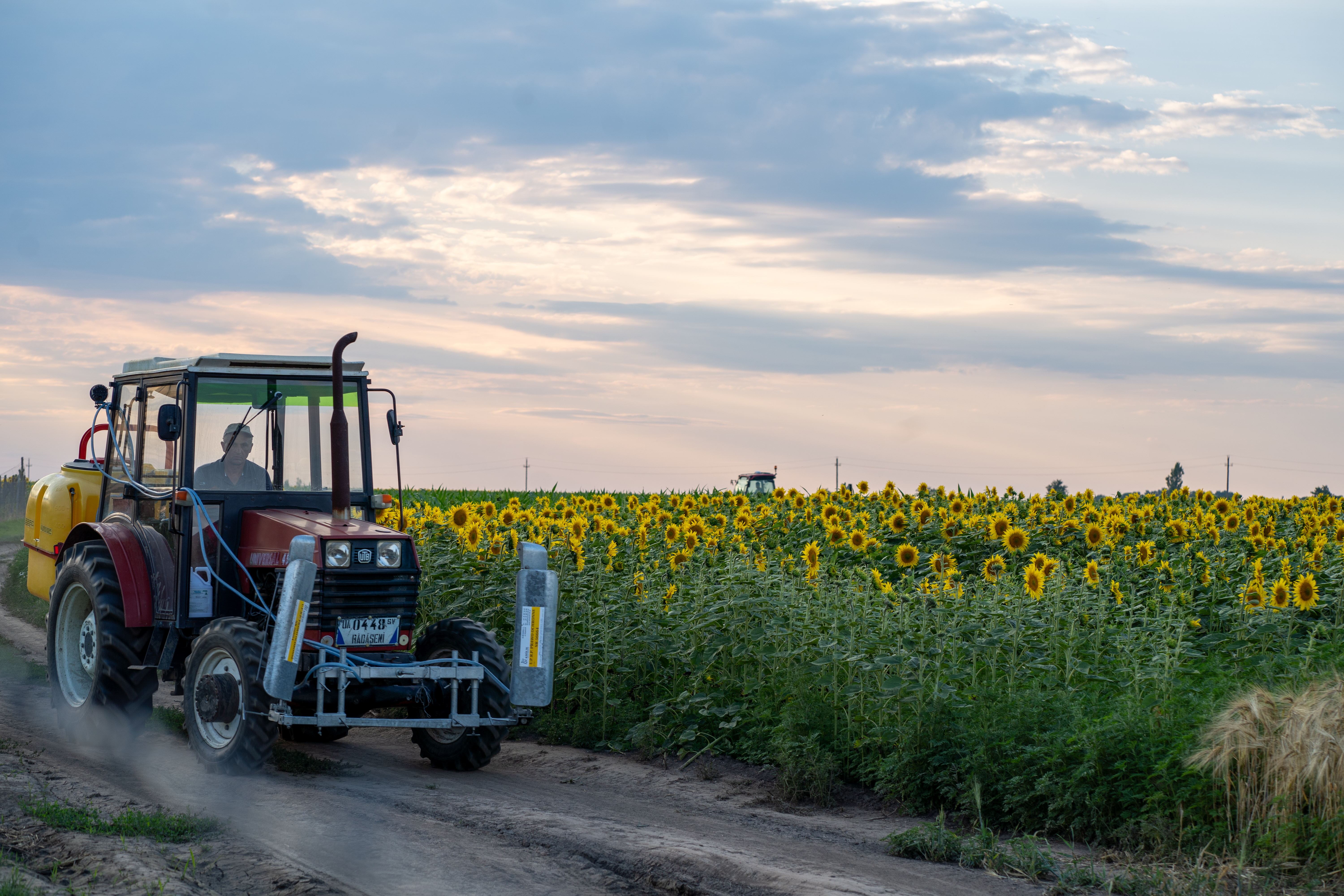 Fotografie din livada Fructul Bucovinei