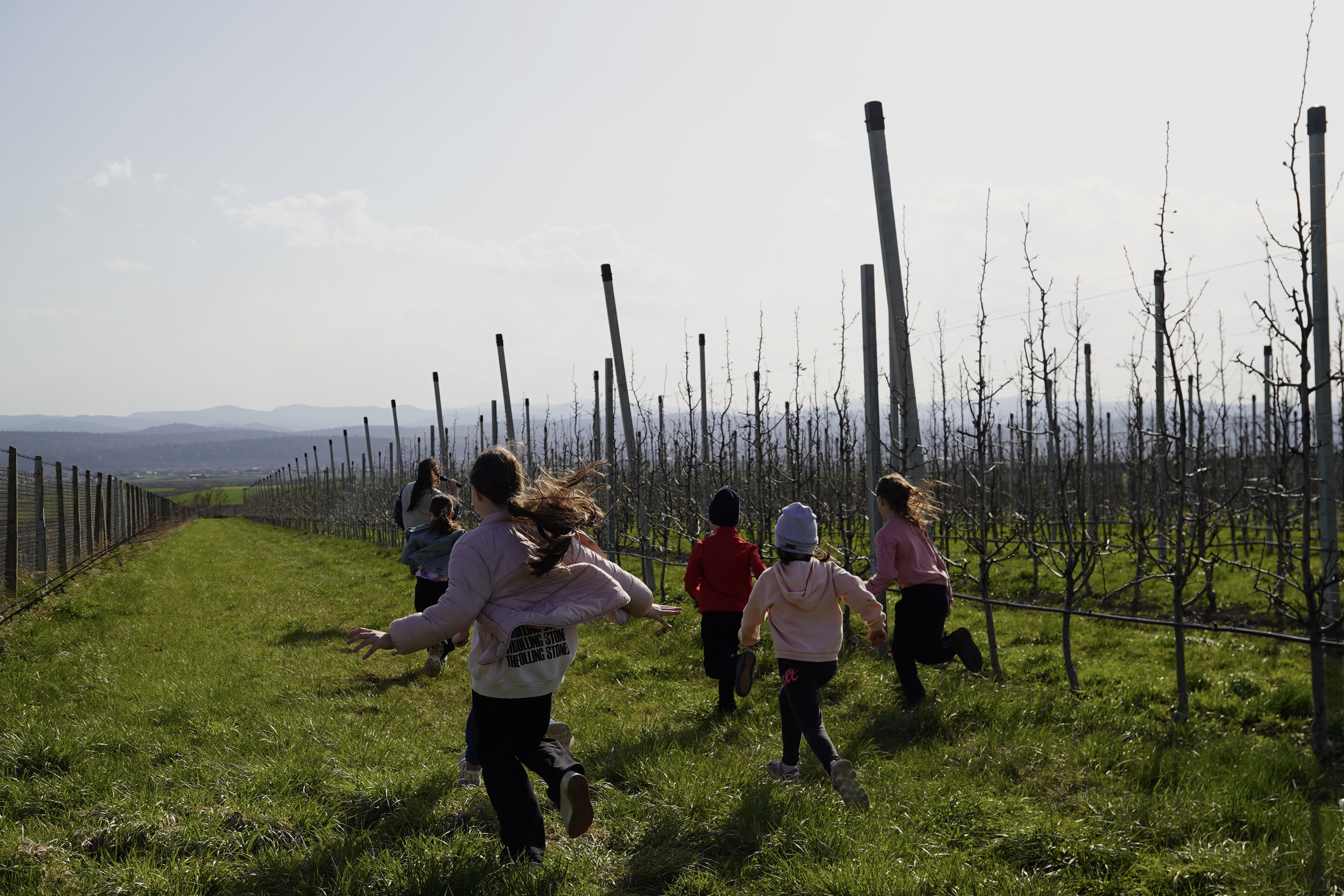 Fotografie din livada Fructul Bucovinei