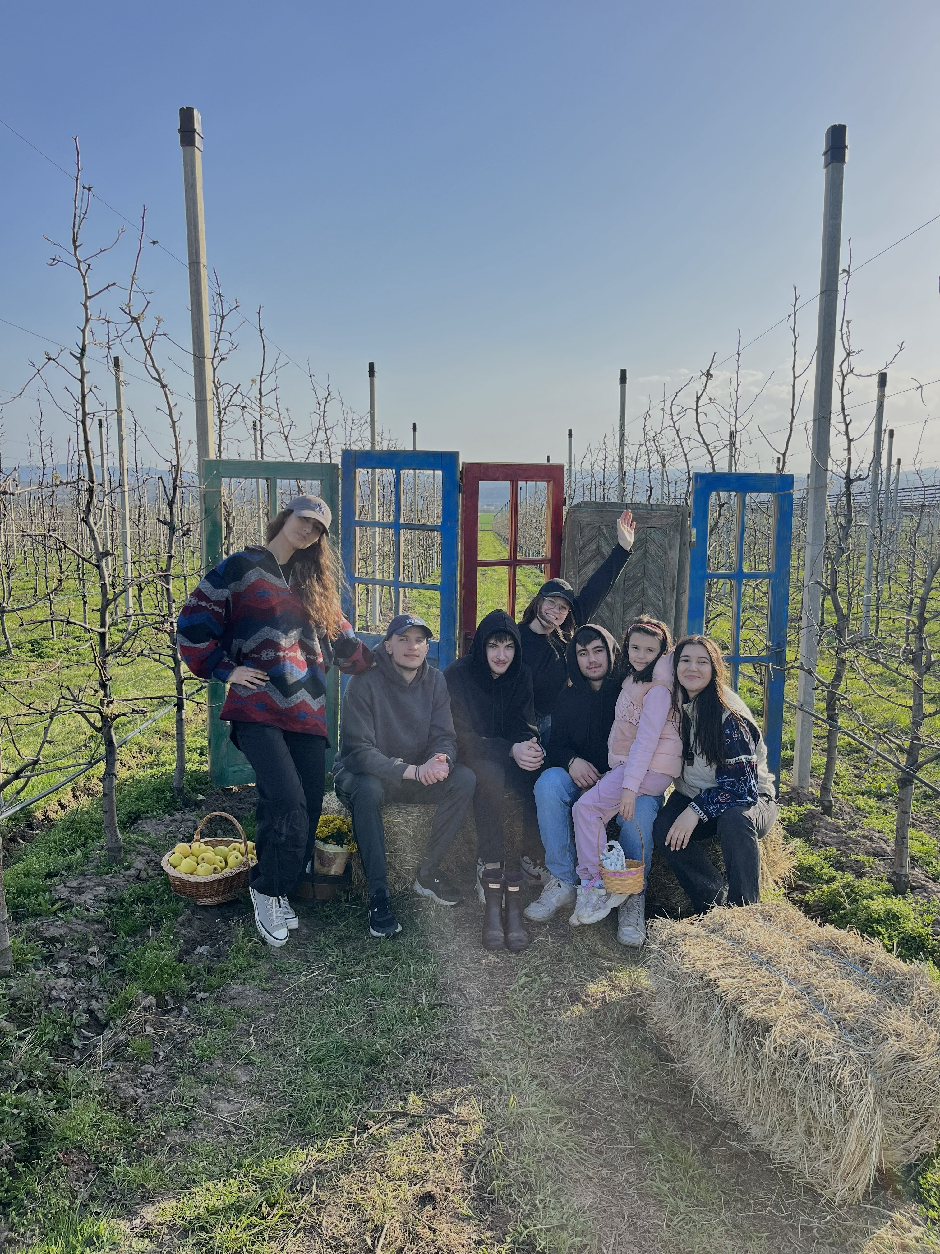 Fotografie din livada Fructul Bucovinei